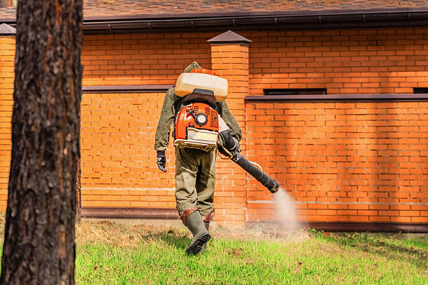 Top rated local Mosquito Control specialists in Silverton, OH